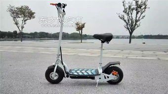 鶻鷹智能廠家直銷 臺(tái)州折疊電動(dòng)車 折疊電動(dòng)車哪家好圖片