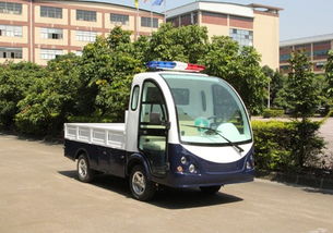 電動(dòng)廂式貨車廠家 朗晴電動(dòng)車 雙排電動(dòng)廂式貨車廠家