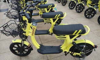 共享電動車 百科