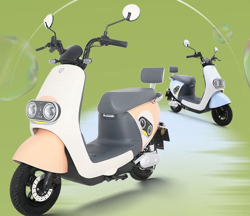 3款全新電動車,造型漂亮,騎行舒適,續(xù)航80公里,適合通勤代步